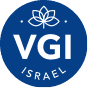 VGI